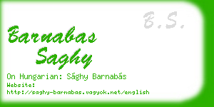 barnabas saghy business card